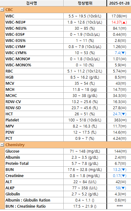 루루_혈액검사_250128_1.png