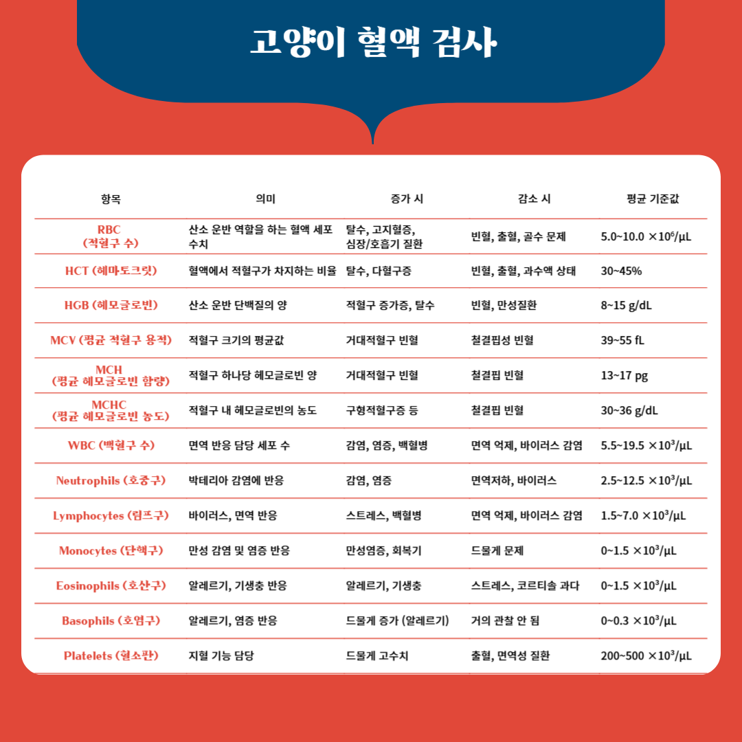 KakaoTalk_20250422_174904380.png