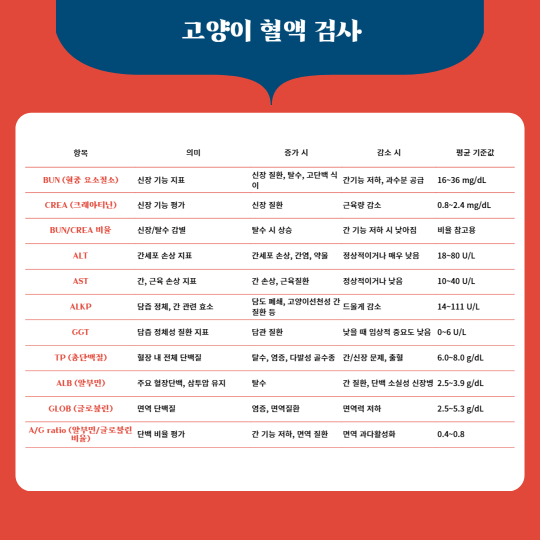 KakaoTalk_20250422_174907301.png