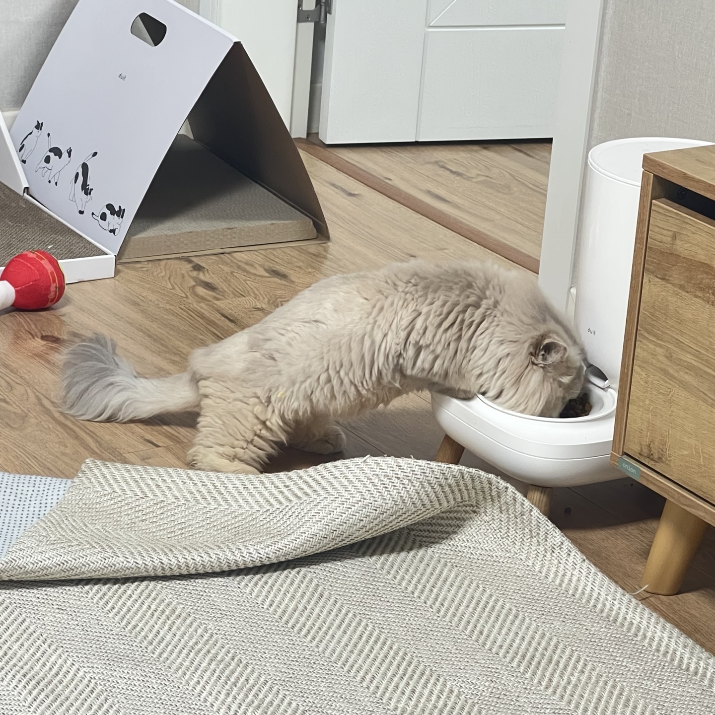 KakaoTalk_20250425_135342015.jpg KakaoTalk_20250425_135342015.jpg