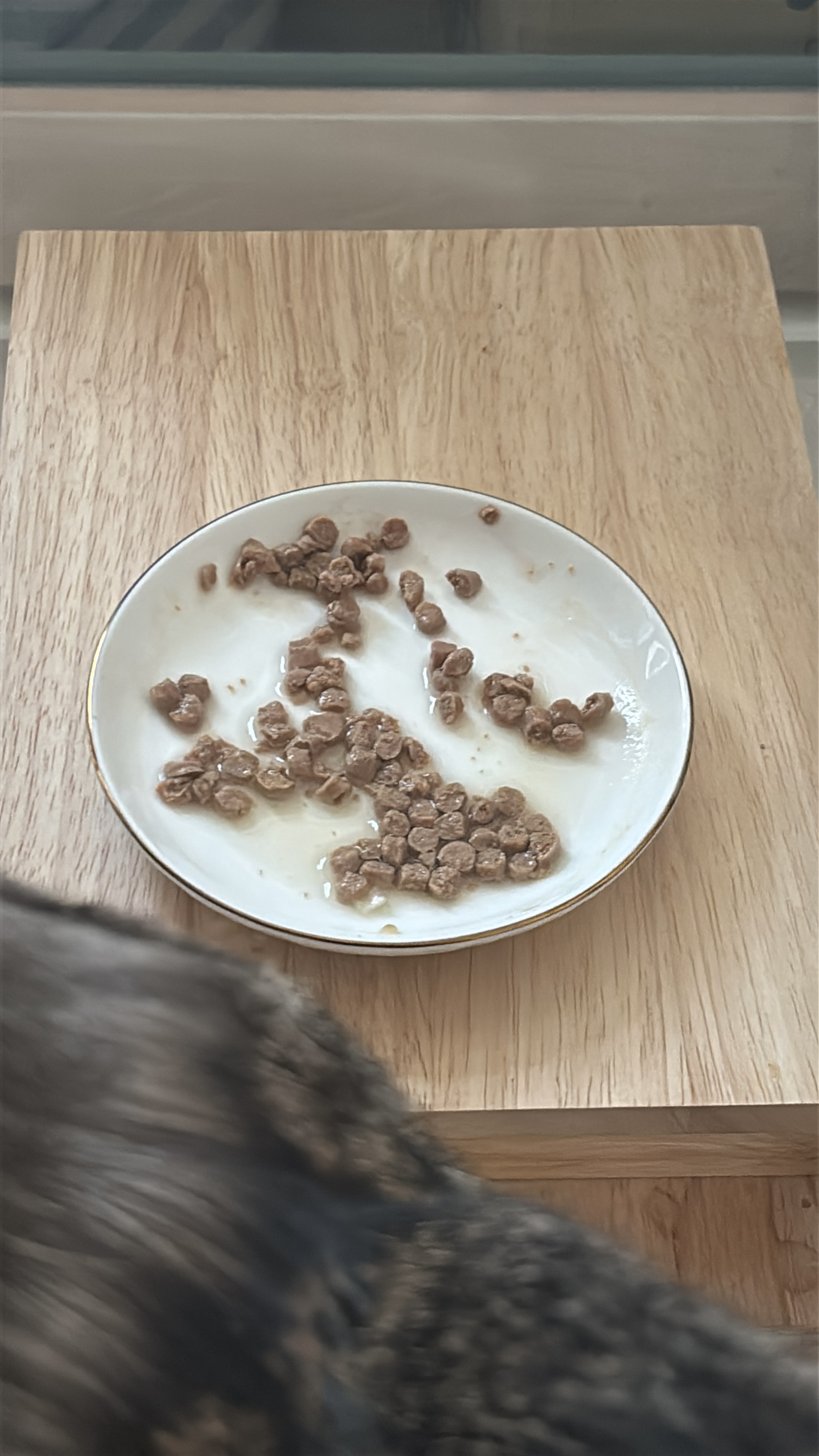 KakaoTalk_Photo_2026-01-23-20-15-12 004.jpeg