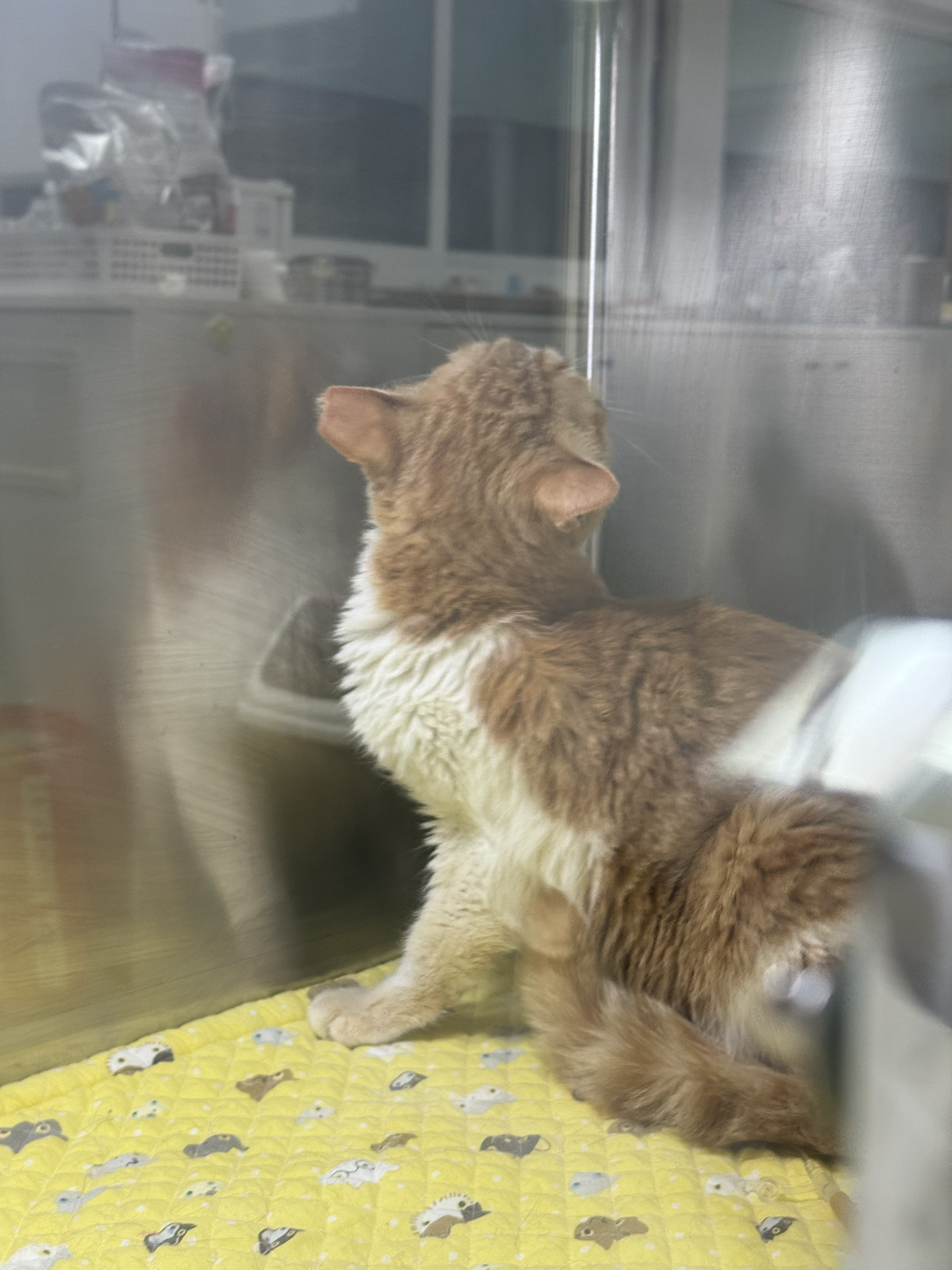 IMG_5289.jpeg IMG_5289.jpeg