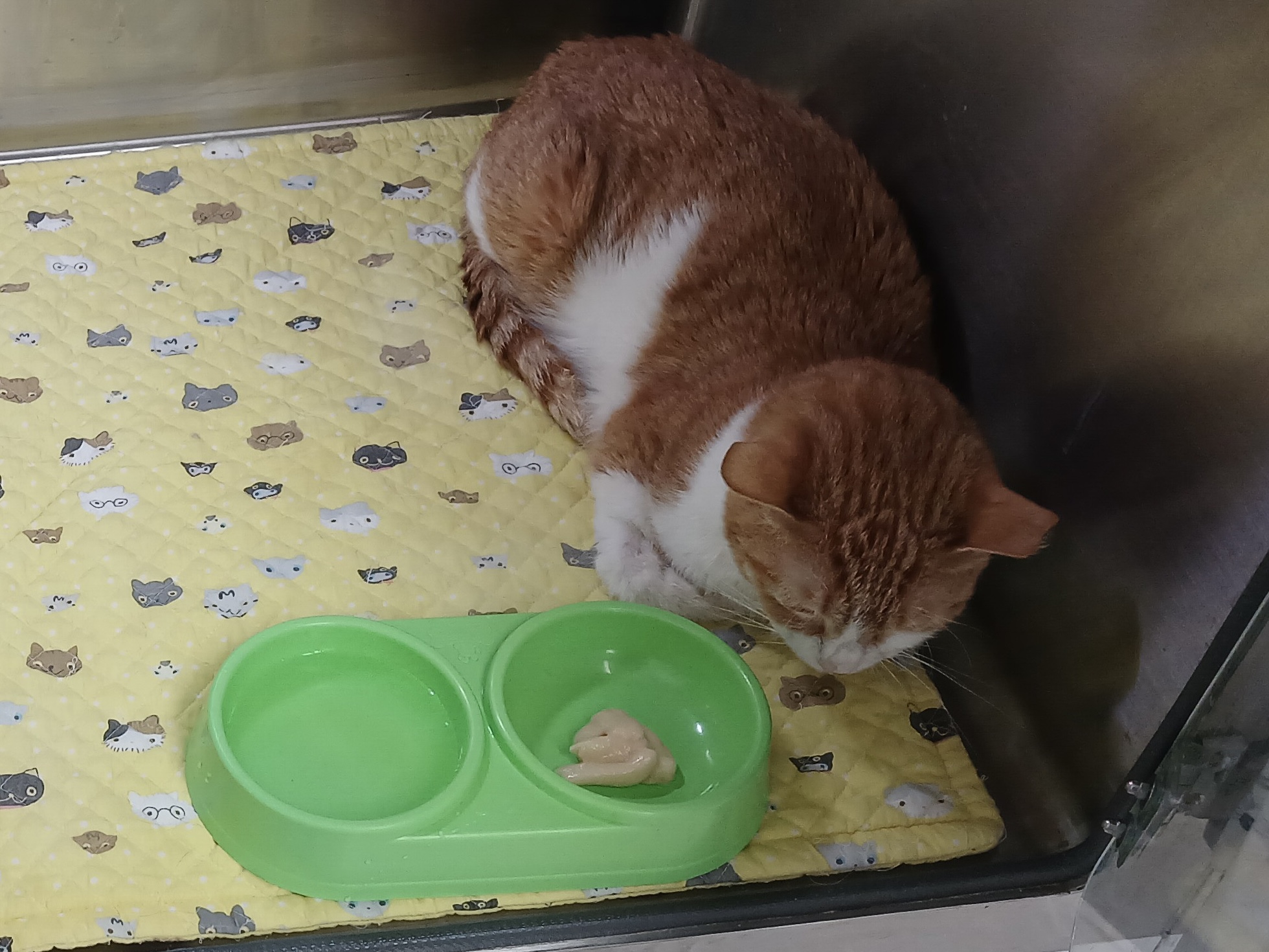 IMG_5378.jpeg IMG_5378.jpeg