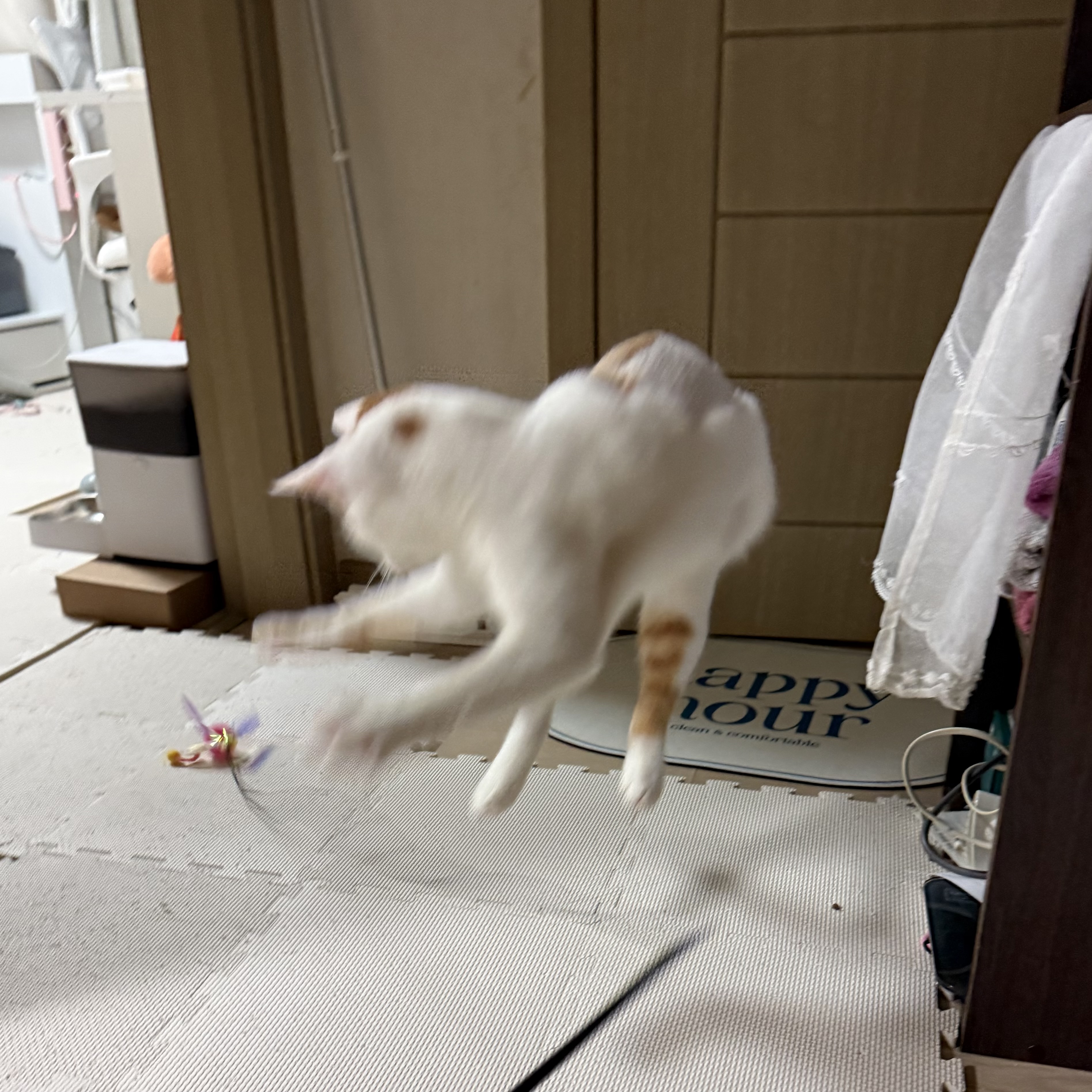 IMG_4889.jpeg